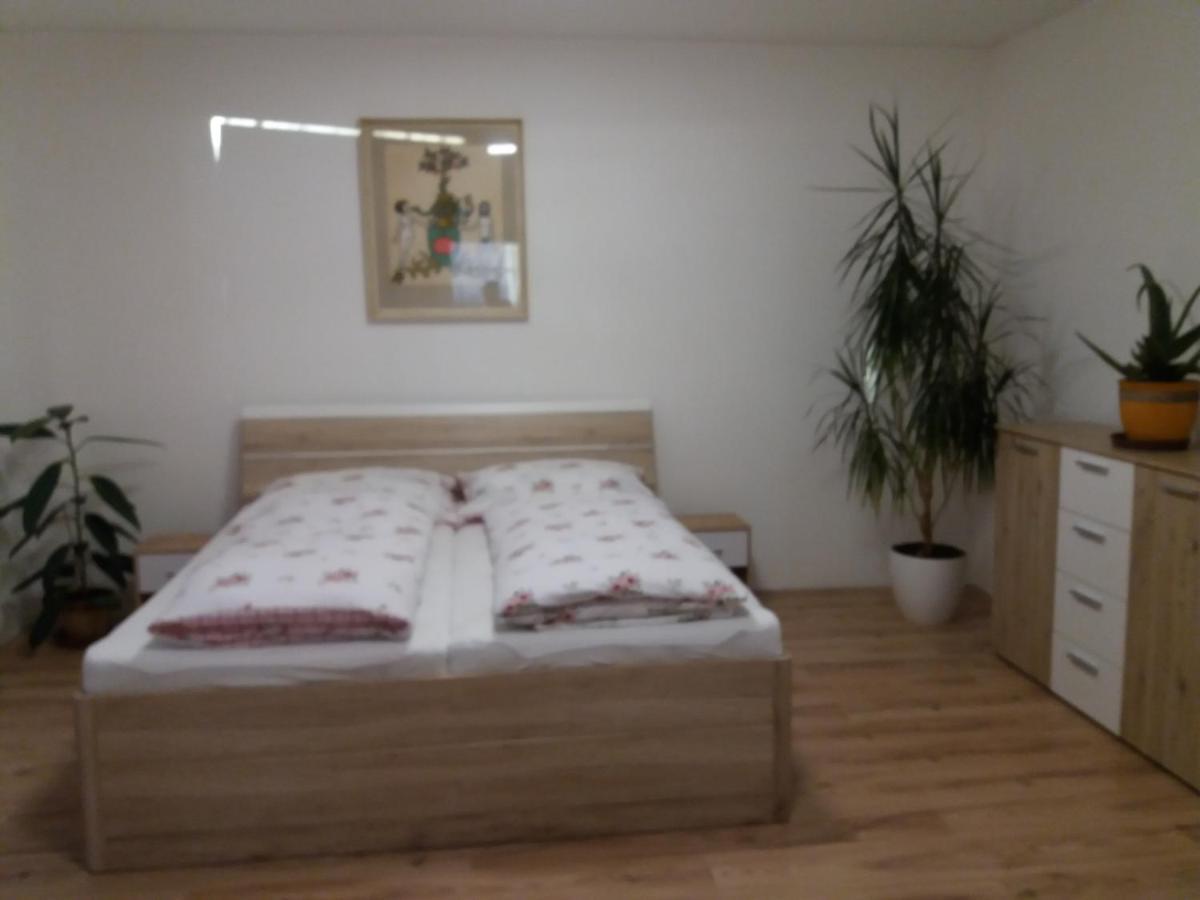 Apartman Formanka 리베레츠 외부 사진